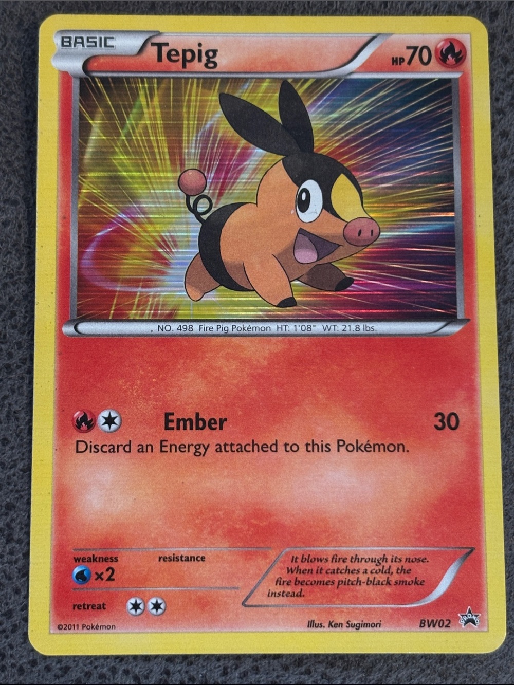 Tepig Holo Rare Promo Pokemon Card – Black and White 02